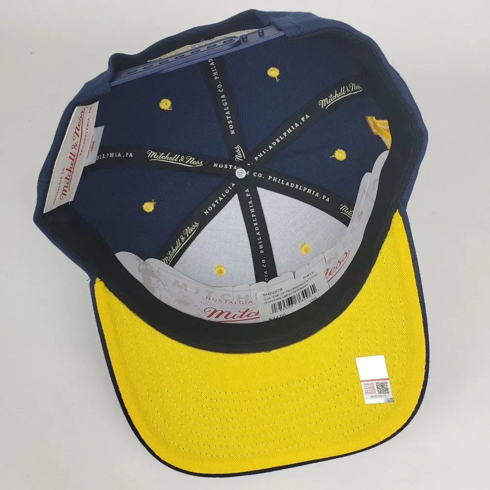 Michigan Wolverines Mitchell & Ness NCAA Pro Fit Snapback Hat Cap‎ 3D Logo NWT